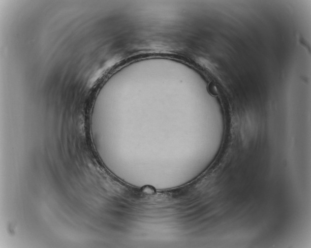 X0000102411307200808221902