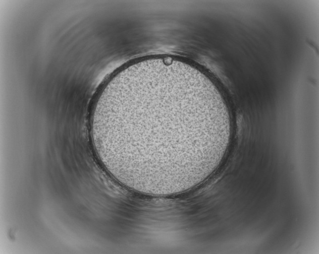 X0000102411308200808221902