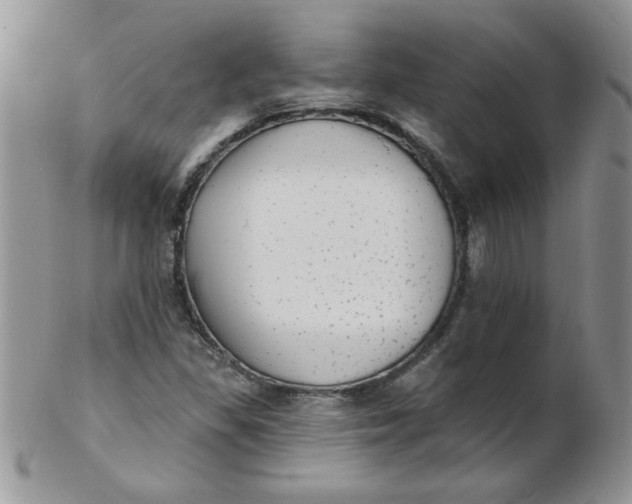 X0000102411309200808221902