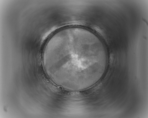 X0000102411310200808221902