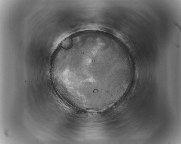 X0000102411312200808221902