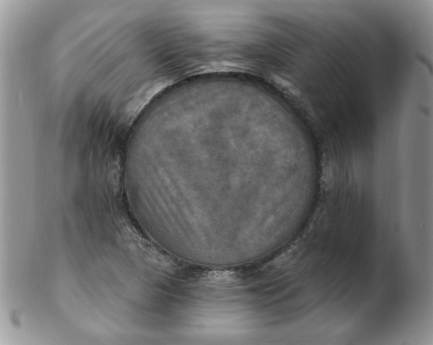 X0000102411313200808221902