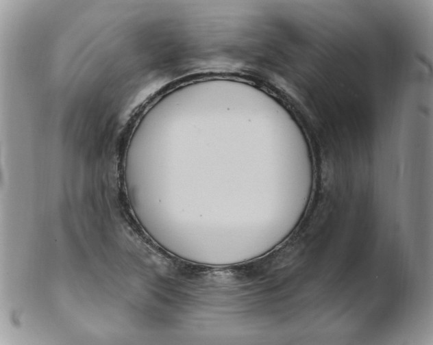 X0000102411315200808221902