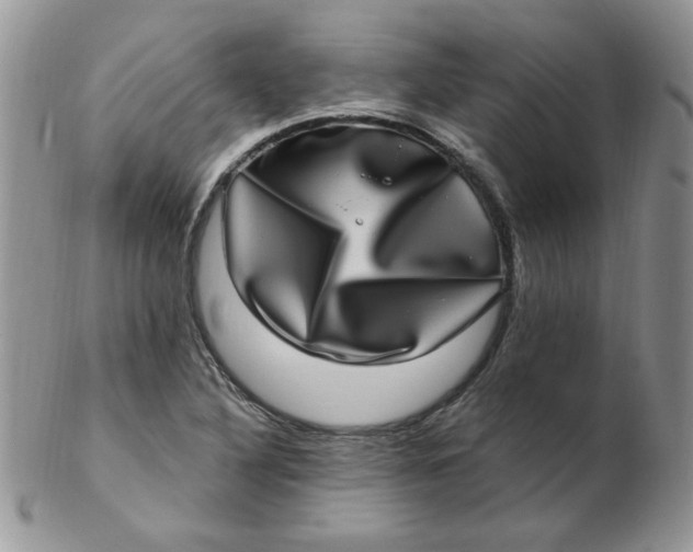 X0000102411316200808221902