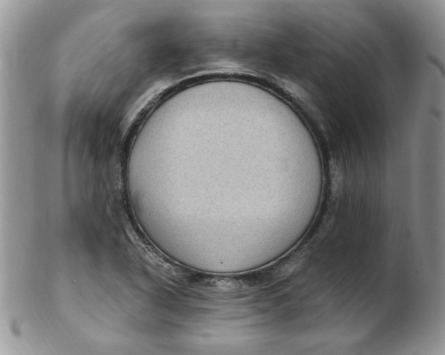 X0000102411318200808221902