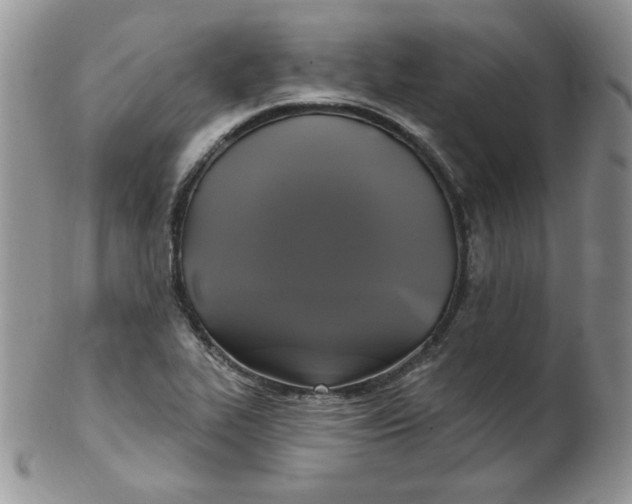 X0000102411319200808221902