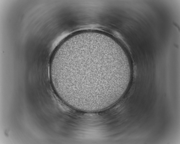 X0000102411320200808221902