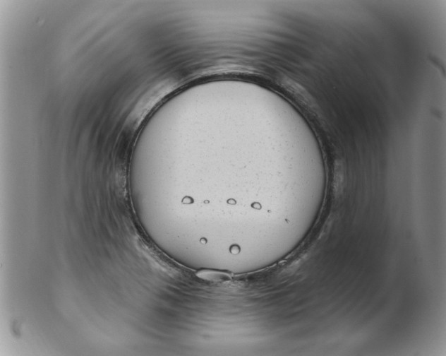 X0000102411321200808221902