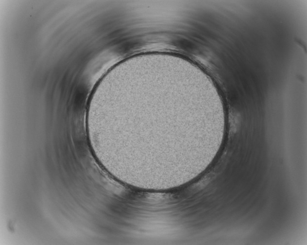 X0000102411322200808221902