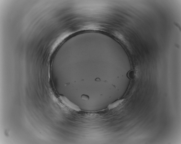 X0000102411323200808221902