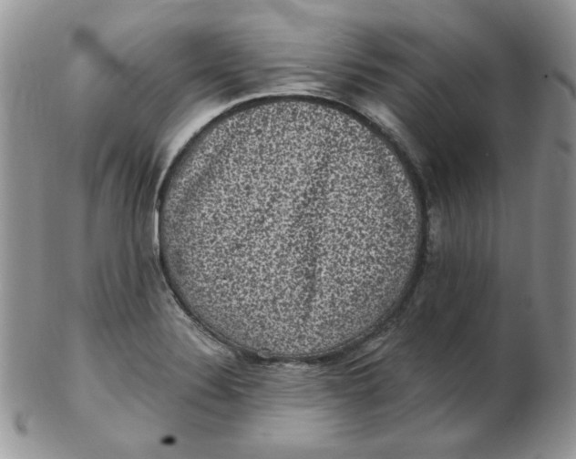 X0000102411324200808221902