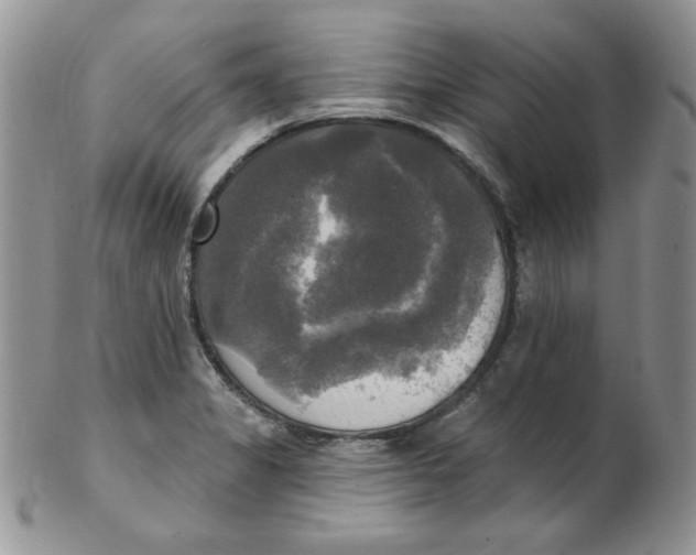 X0000102411325200808221902