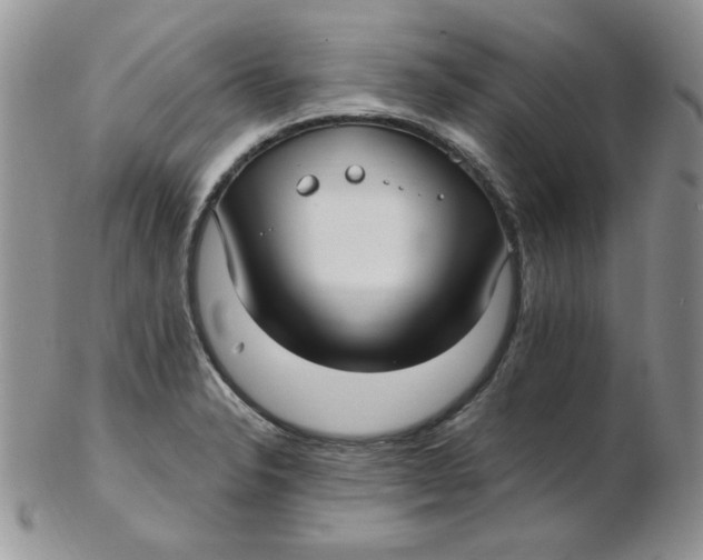 X0000102411326200808221902