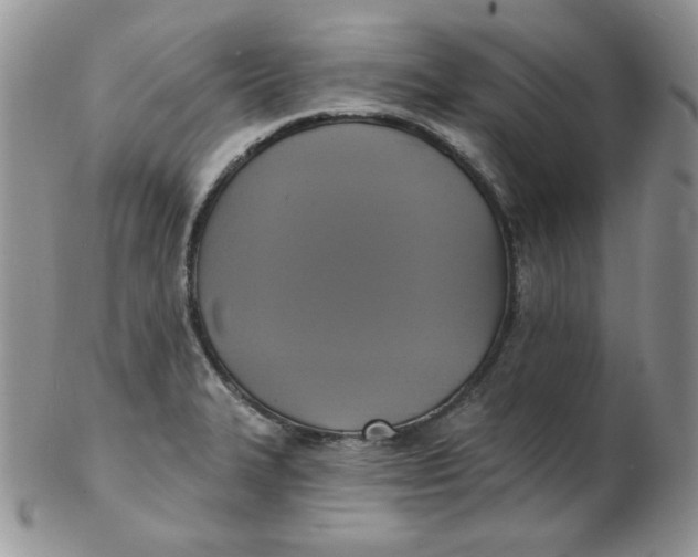 X0000102411327200808221902