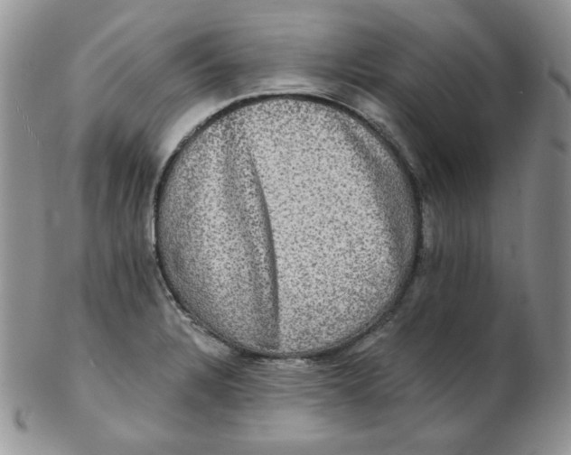 X0000102411328200808221902