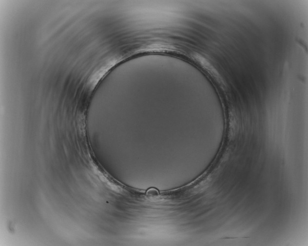 X0000102411329200808221902