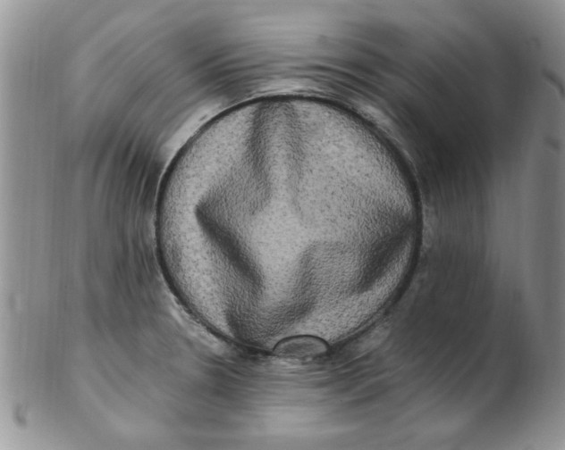 X0000102411330200808221902