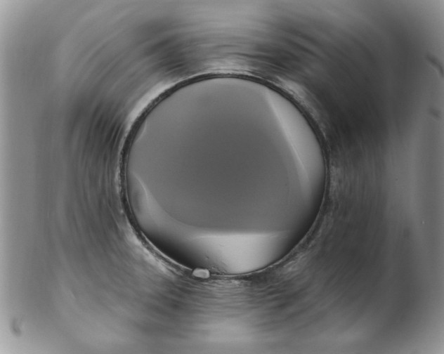 X0000102411331200808221902