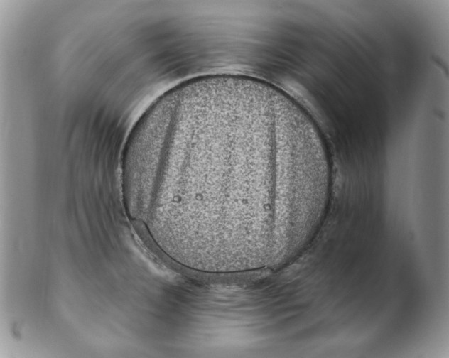 X0000102411332200808221902