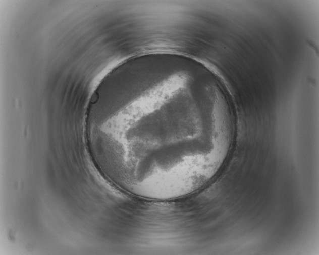 X0000102411333200808221902