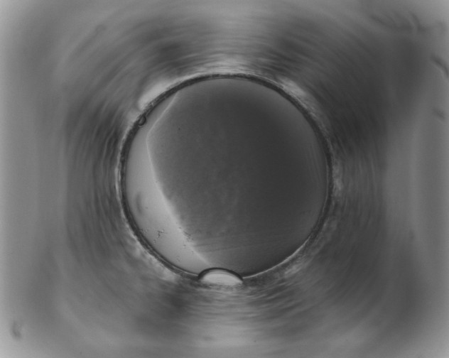 X0000102411334200808221902