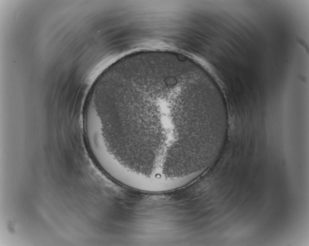 X0000102411335200808221902