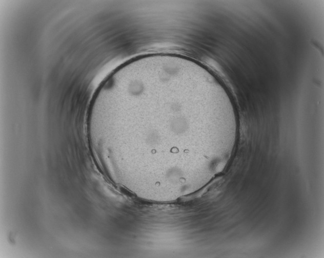 X0000102411336200808221902