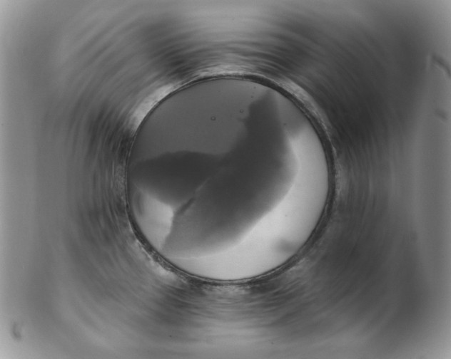 X0000102411337200808221902