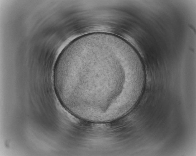 X0000102411339200808221902