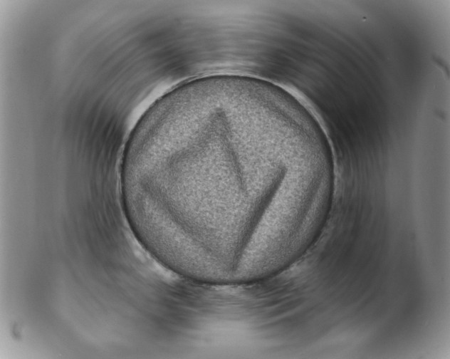 X0000102411341200808221902