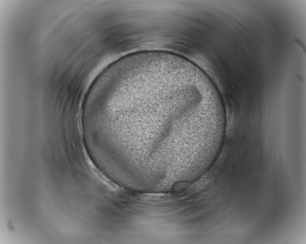 X0000102411342200808221902