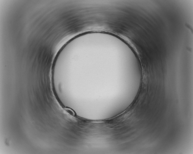 X0000102411343200808221902