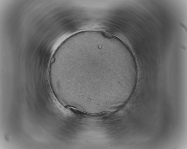 X0000102411344200808221903