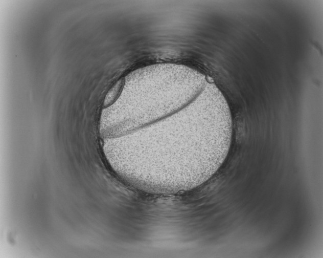 X0000102411345200808221902