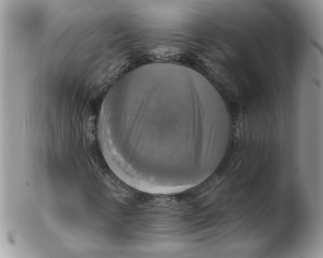 X0000102411346200808221902