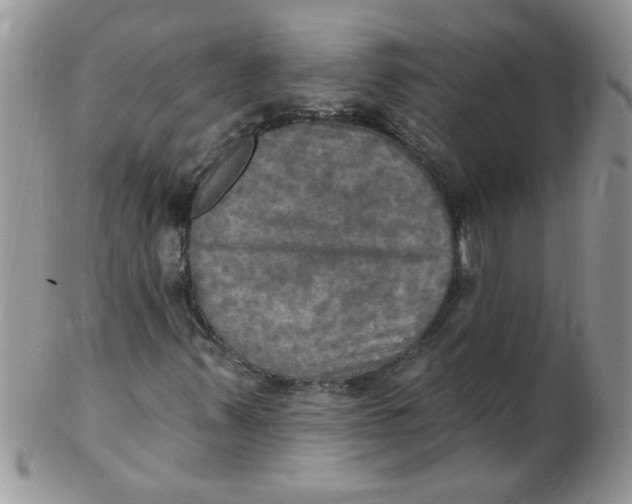 X0000102411347200808221902