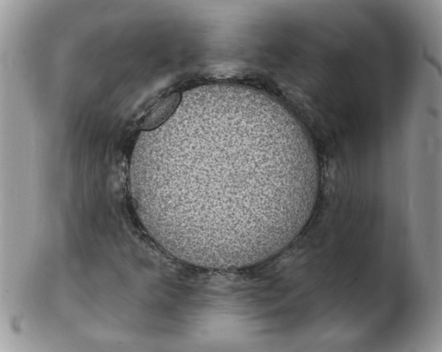 X0000102411349200808221902