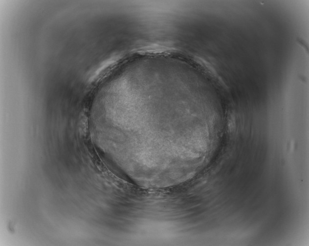 X0000102411350200808221902