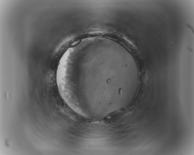 X0000102411351200808221902