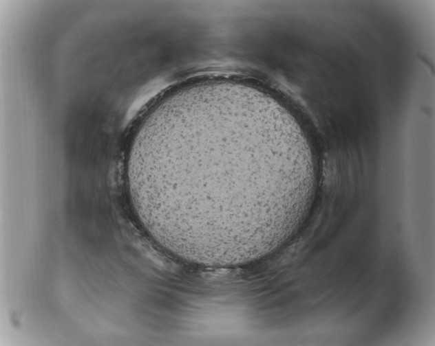 X0000102411352200808221902