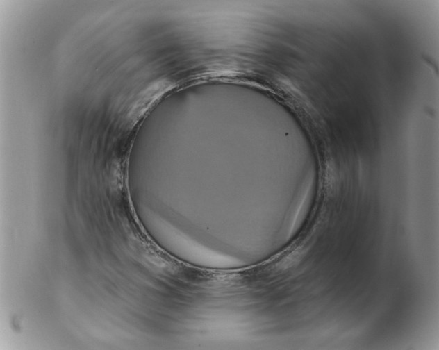 X0000102411353200808221902