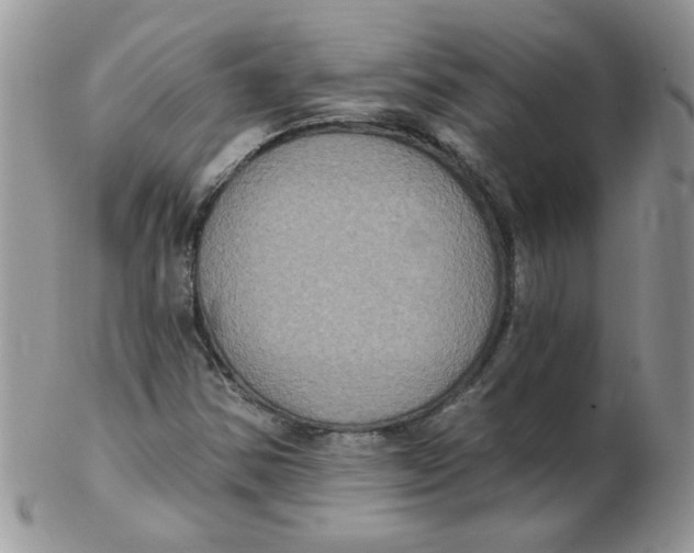 X0000102411354200808221902