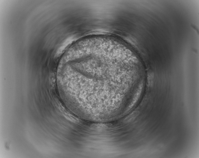 X0000102411355200808221902