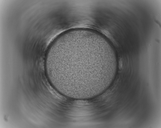 X0000102411356200808221902