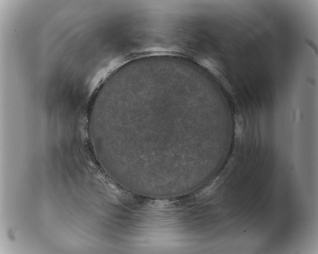 X0000102411357200808221902