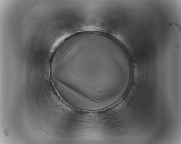 X0000102411358200808221902