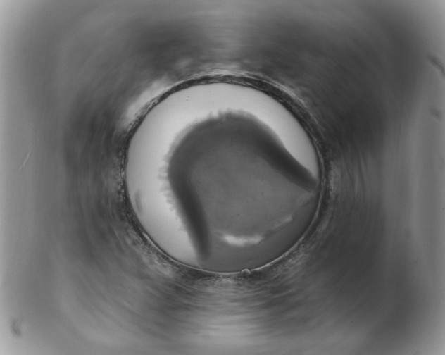 X0000102411359200808221902