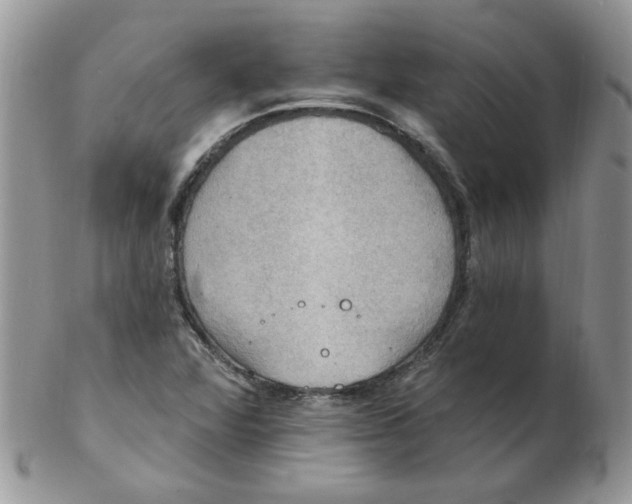 X0000102411360200808221902