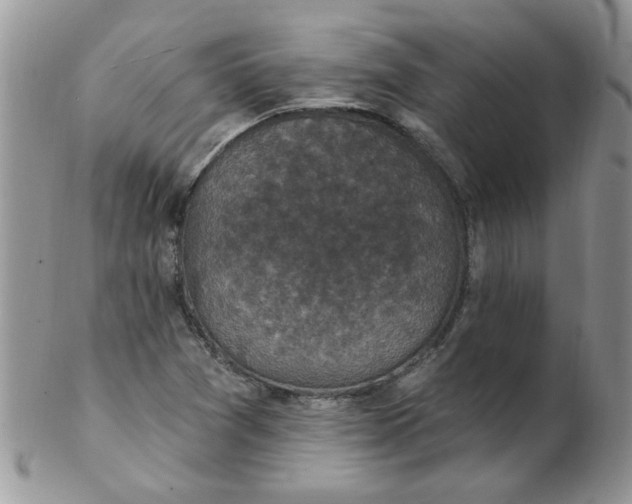 X0000102411361200808221902