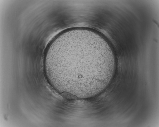 X0000102411364200808221902